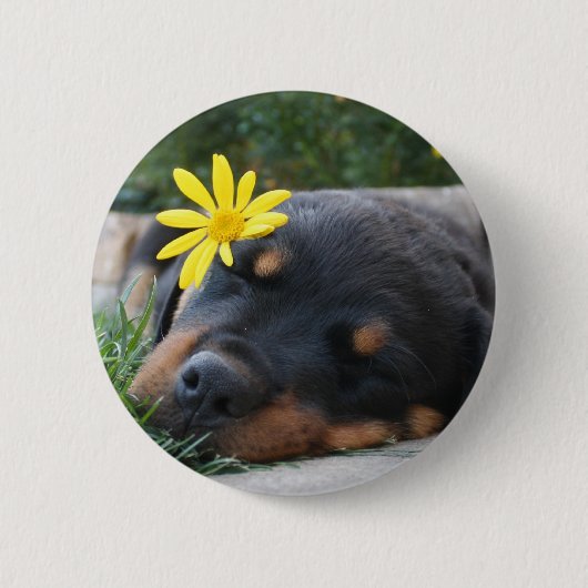 Rottweiler Ronde Button 5,7 Cm (Voorkant)
