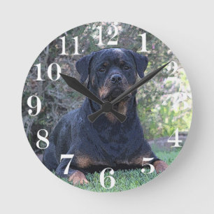 Rottweiler Ronde Klok