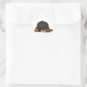 Rottweiler Ronde Sticker (Tas)