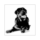 Rottweiler Rubberstempel (Afrduk)