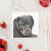 Rottweiler Servet (Insitu)