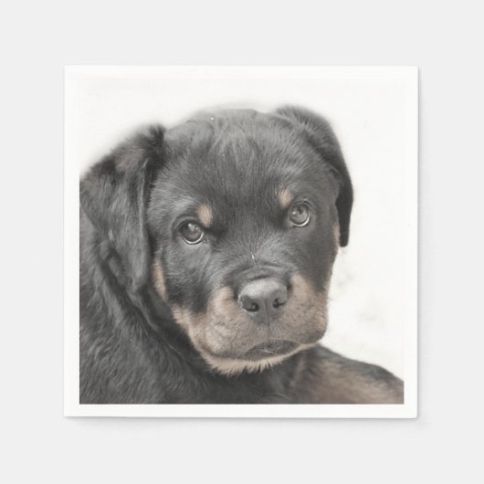 Rottweiler Servet (Voorkant)
