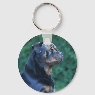 Rottweiler-sleutelhanger Sleutelhanger