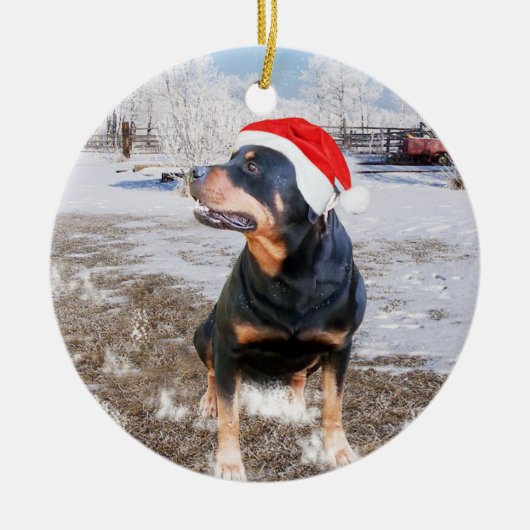 Rottweiler Snow Christmas Holiday Ornament (Voorkant)