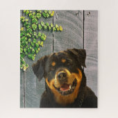 Rottweiler souriant puzzle puzzle (Vertical)