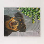 Rottweiler souriant puzzle puzzle (Horizontal)