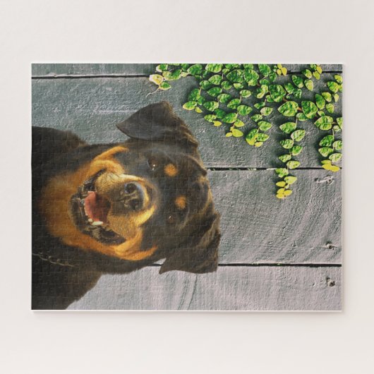 Rottweiler souriant puzzle puzzle (Horizontal)