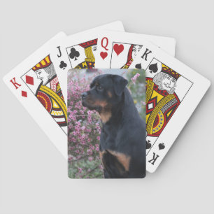Rottweiler Speelkaarten