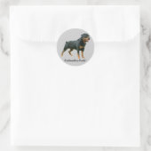 Rottweiler Sticker (Tas)