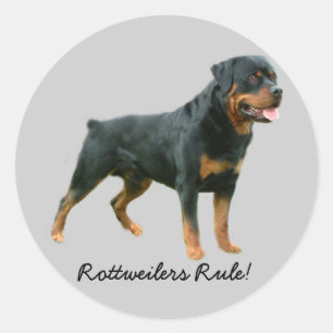 Rottweiler Sticker
