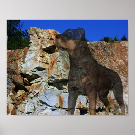 Rottweiler Stone Cliff Wall Fantasy Art Poster (Voorkant)