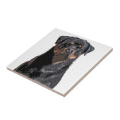 Rottweiler Tegeltje (Zijkant)