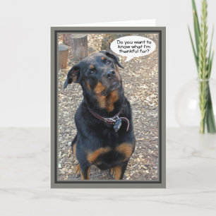 Rottweiler Thankful voor uw Thanksgiving Card Feestdagen Kaart