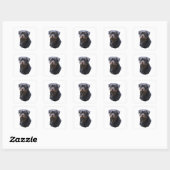 Rottweiler Vierkante Sticker (Vel)