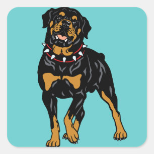 rottweiler vierkante sticker