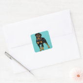 rottweiler vierkante sticker (Envelop)