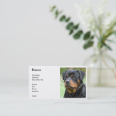 Rottweiler-Visitekaartje Visitekaartje (Staand voorkant)