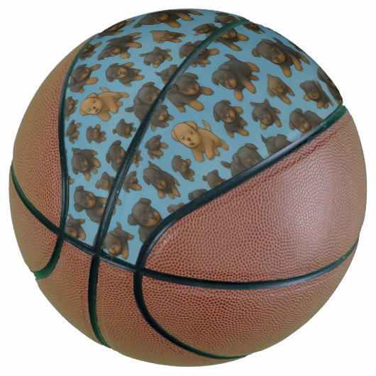 Rottweiler Waanzin Basketbal (Schuin)