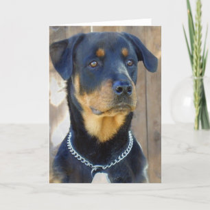 Rottweiler-Wenskaart Kaart
