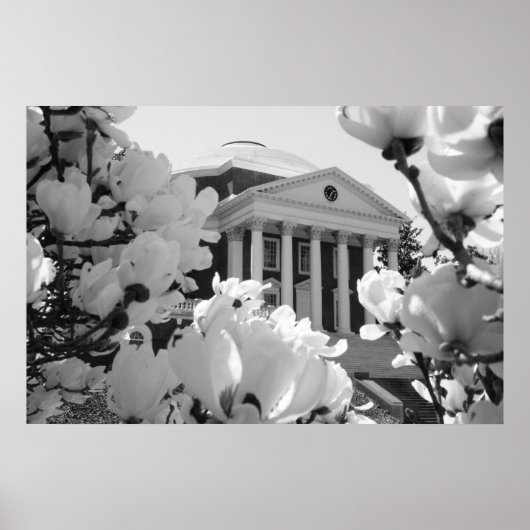 Rotunda en Flowers Poster (Voorkant)