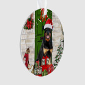 Rotweiler Chien Noël (devant)