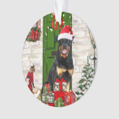 Rotweiler Chien Noël (devant)