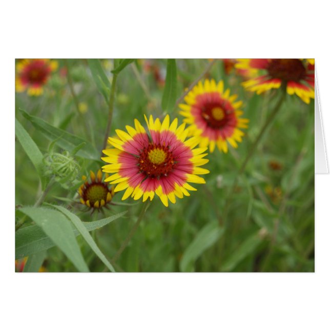 Roue (Devant horizontal)