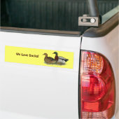 Rouen Ducks Bumpersticker (Op Truck)
