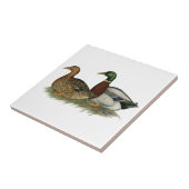 Rouen Ducks Tegeltje (Zijkant)