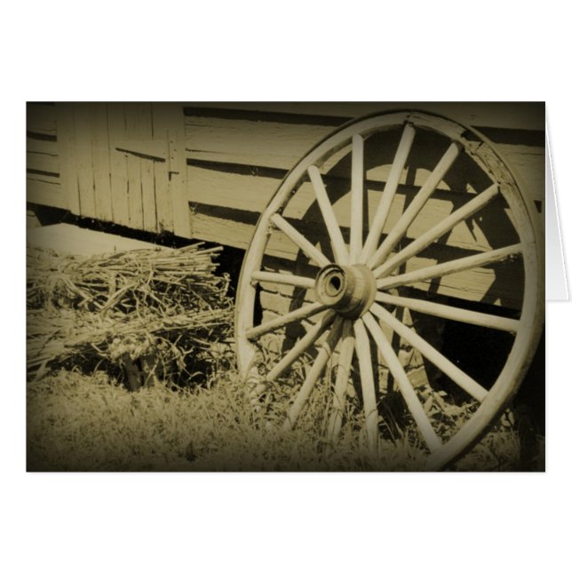 Roues (Devant horizontal)