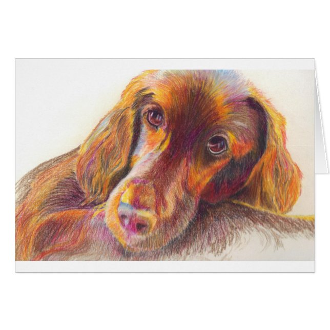 Rouge (Devant horizontal)