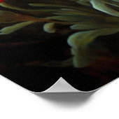 Rouge anglais Flower Art Print Poster (Coin)