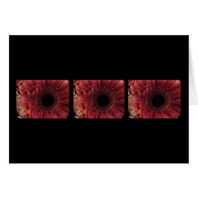 Rouge antique (trio) (Devant horizontal)