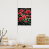 Rouge Bee Balm Flowers Art Imprimer Poster (Cuisine)