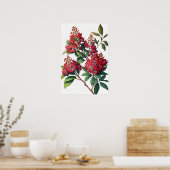 Rouge Crepe Myrtle Fleurs Art Imprimer Poster (Cuisine)