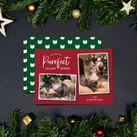 Rouge et Vert Chat visage Purrfect Carte photo de