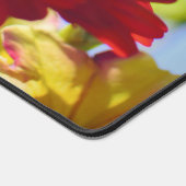 Rouge Gerber Daisies Belles Fleurs Rouge Daisy (Coin)