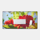 Rouge Gerber Daisies Belles Fleurs Rouge Daisy (Clavier et souris)