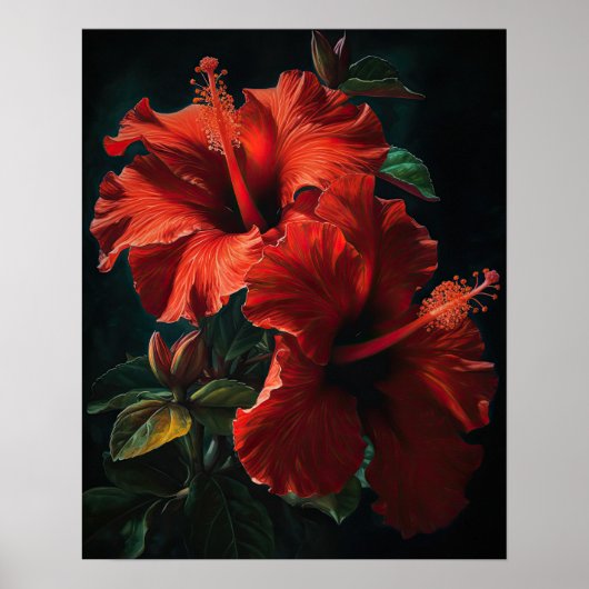 Rouge Hibiscus Fleurs Art Imprimer Poster (Devant)