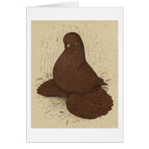 Rouge muffé de Pigeon Tumbler