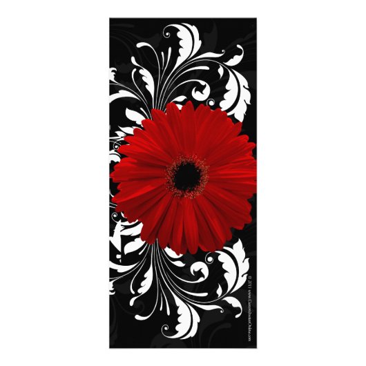 Rouge, Noir, Blanc Gerbera Daisy Menu, Programme (Dos)