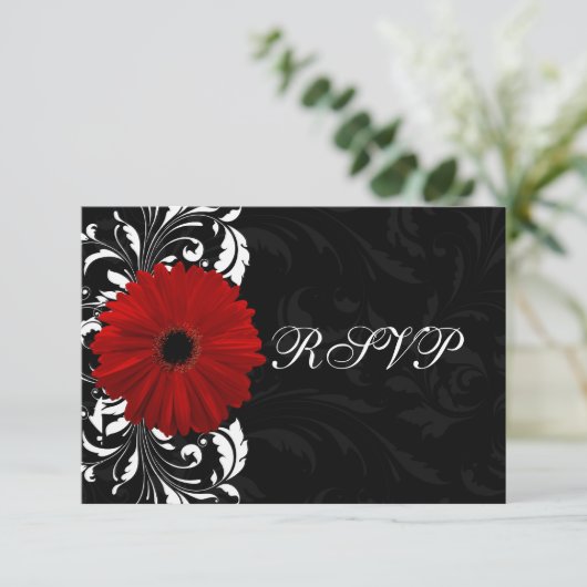 Rouge, Noir et Blanc Scroll Gerbera Daisy RSVP (Debout devant)