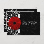 Rouge, Noir et Blanc Scroll Gerbera Daisy RSVP (Devant / Derrière)