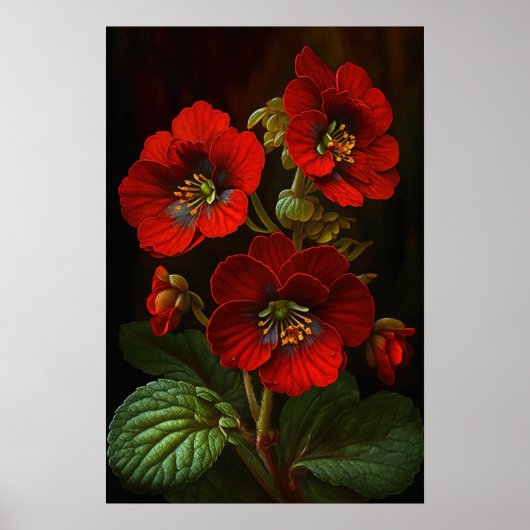 Rouge Primrose Fleurs Art Affiche d'impression (Devant)