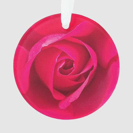 Rouge romantique Rose rose v2 (devant)