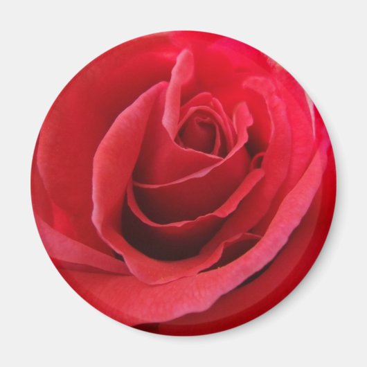 Rouge Rose Magnet (Devant)