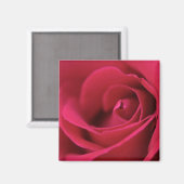 Rouge Rose Magnet (Recto/Verso)