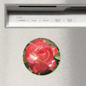 Rouge Rose Photo Circle Magnet (In Situ (Lave-vaisselle))