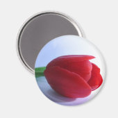 Rouge Tulip Magnet (Recto/Verso)