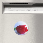 Rouge Tulip Magnet (In Situ (Lave-vaisselle))